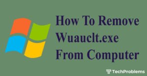 how to remove wuauclt.exe from computer