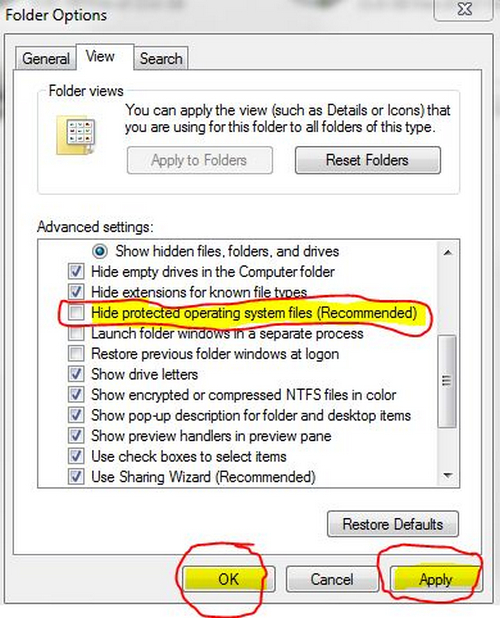 qtwebkit4 dll folder options